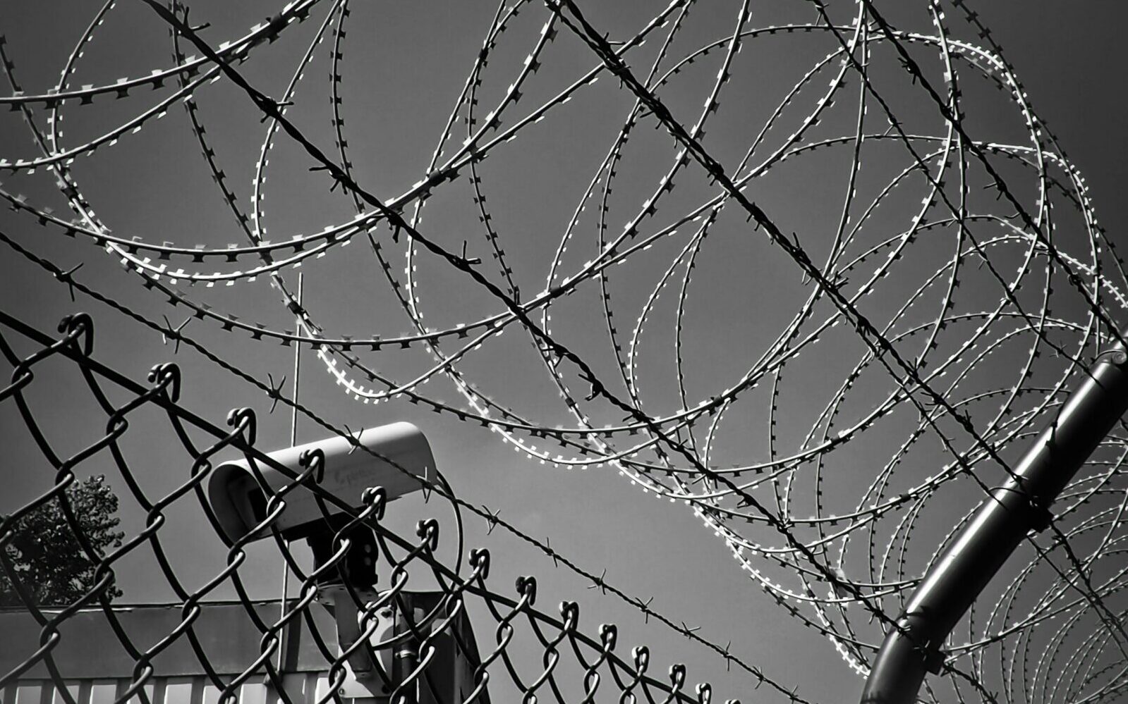 A black and white image featuring barbed wire and a security camera, symbolizing protection and surveillance.